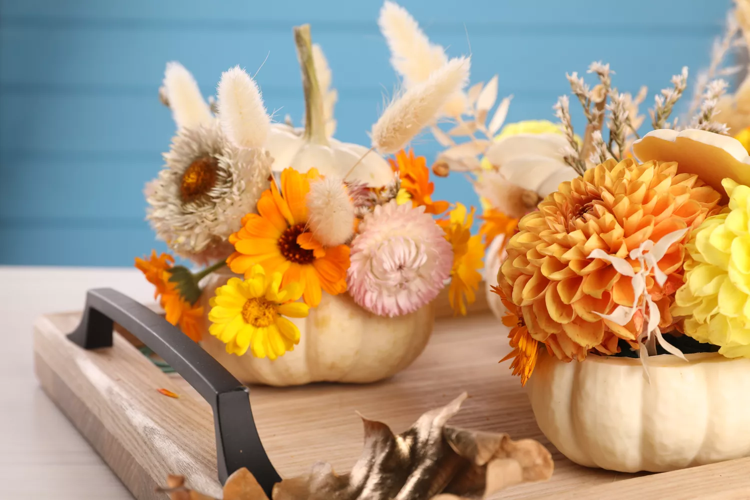 Composition with small pumpkins, beautiful flowers and spikelets on table, closeup